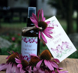 Hydrolat z jeżówki purpurowej Danowiecki