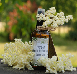 Hydrolat z kwiatu bzu czarnego Danowiecki