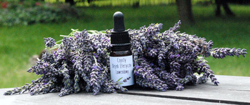 Czysty olejek eteryczny lawendowy