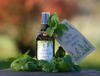 Hydrolat z melisy lekarskiej Danowiecki