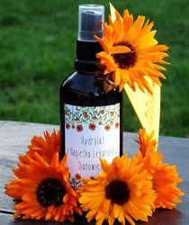 Hydrolat z nagietka lekarskiego Danowiecki