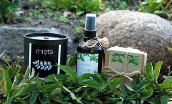 Mięta: mydło + hydrolat + świeca sojowa