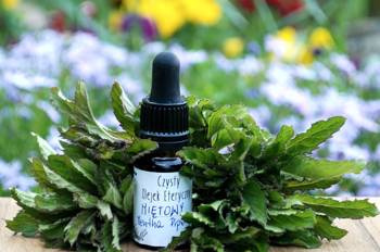 Czysty eteryczny olejek miętowy