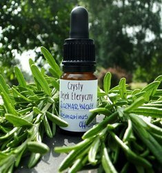 Czysty eteryczny olejek rozmarynowy