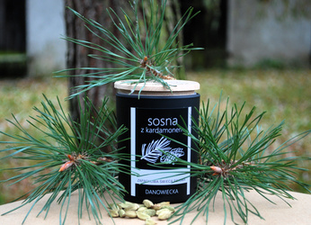 Zapachowa Świeca Sojowa: SOSNA Z KARDAMONEM