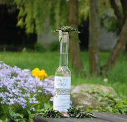 Ziołowy Ocet Danowiecki: Szałwia lekarska 200 ml