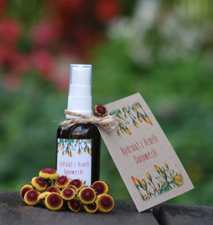 Hydrolat z Acmelli Danowiecki