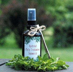 Hydrolat z mięty truskawkowej Danowiecki